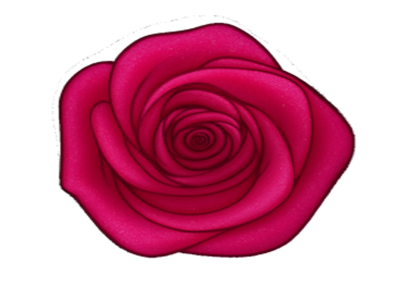 Pink Rose